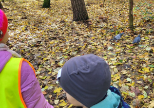 Dzieci obserwują wiewiórkę.