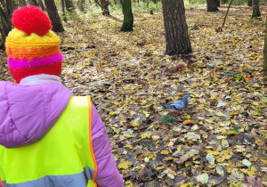 Dziecko obserwują wiewiórkę.