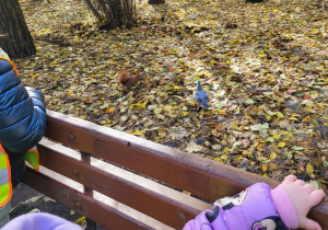 Dzieci obserwują wiewiórkę.