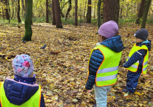 Dzieci obserwują wiewiórkę.