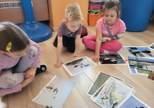 Dzieci oglądają zdjęcia bocianów.