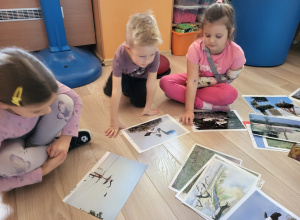 Konkurs wiedzy o bocianach