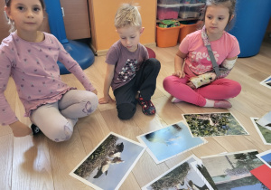 Dzieci oglądają zdjęcia bocianów.