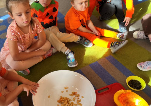 Dzieci ogladają dynię.