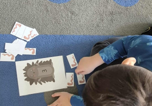 Dziecko karmi jeżyka.