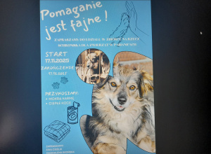 Zbiórka darów na rzecz schroniska