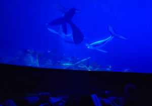 Dzieci leżą w środku kopuły planetarium, oglądają wyświetlaną animację.