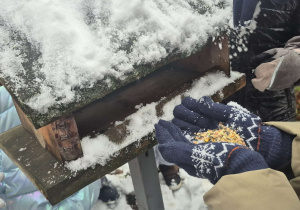 Dzieci wsypują ziarenka do karmnika.