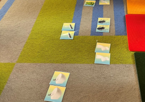 Układanie par z obrazków.