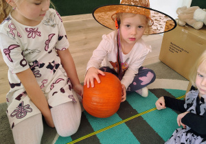 Dziewczynka trzyma dynię.