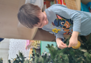 Chłopiec ubiera choinkę.