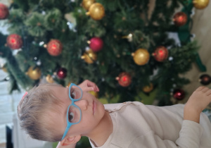 Chłopiec ubiera choinkę.