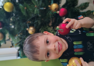 Chłopiec ubiera choinkę.