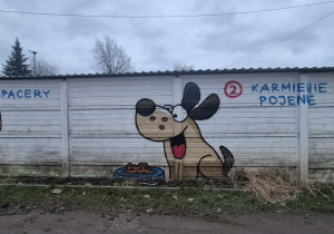 Zdjęcie schroniska.