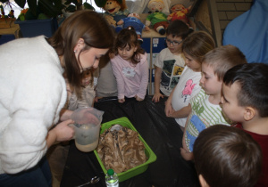 Nauczycielka wlewa wodę.