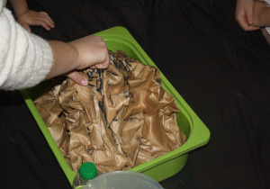 Nauczycielka wsypuje barwnik..