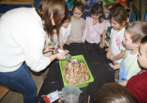 Nauczycielka wlewa ocet.