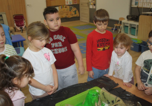 Dzieci oglądają wulkan.