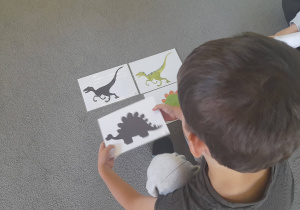 Chłopiec dopasowuje cień do dinozaura.