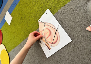 Dziecko dokłada element do ilustracji.