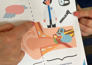 Ilustacja z budową ucha.