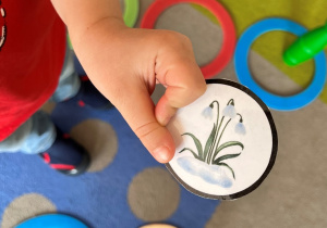 W dłoni atrybut wiosny - przebiśniegi.