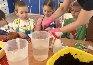 Dzieci obserwują wsypywanie ziemi do doniczki.