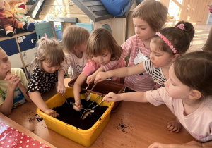 Dzieci wsypują ziemię do donicy.