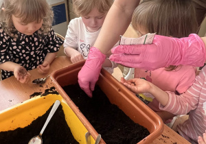 Nauczycielka pomaga dzieciom sadzić kwiatki.