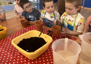 Chłopcy wsypują nasionka do doniczek.