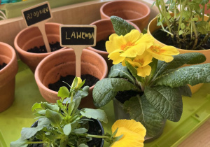 Nasz gotowy kącik ogrodniczy.