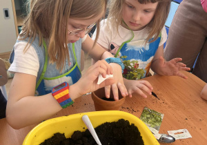 Dziewczynki wsypują ziemię do doniczek.