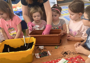 Nauczycielka pomaga dzieciom sadzić roślinki.