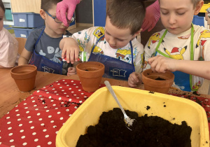 Chłopcy sadzą rzodkiewki.