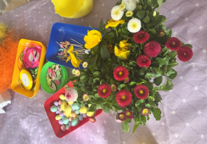 Materiały do warsztatów.