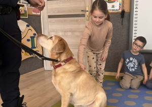 Dziecko głaszcze pieska.