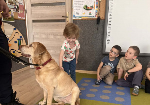 Dziecko głaszcze pieska.