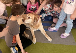 Dzieci głaszczą pieska.