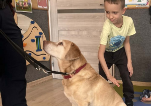 Dziecko głaszcze pieska.