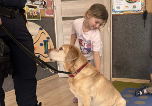 Dziecko głaszcze pieska.