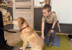 Dziecko głaszcze pieska.