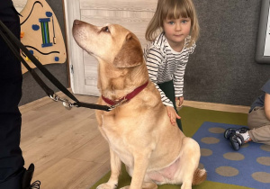 Dziecko głaszcze pieska.