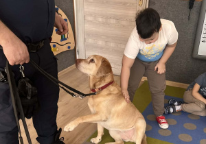 Dziecko głaszcze pieska.