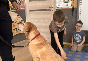 Dziecko głaszcze pieska.