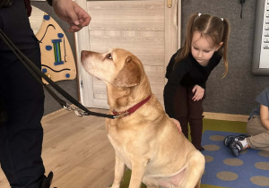 Dziecko głaszcze pieska.