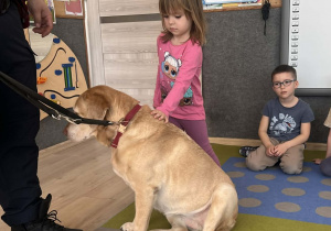 Dziecko głaszcze pieska.