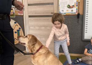 Dziecko głaszcze pieska.