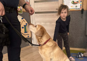 Dziecko głaszcze pieska.