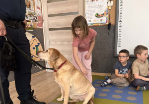 Dziecko głaszcze pieska.