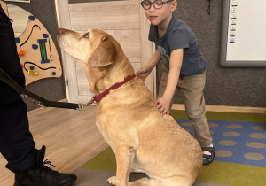 Dziecko głaszcze pieska.